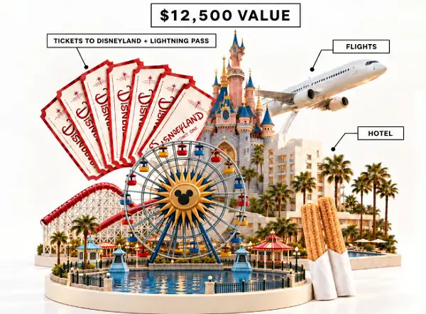 The Birdie Blankets Giveaway – Win $12,500 Toward Your Family’s Disneyland Trip