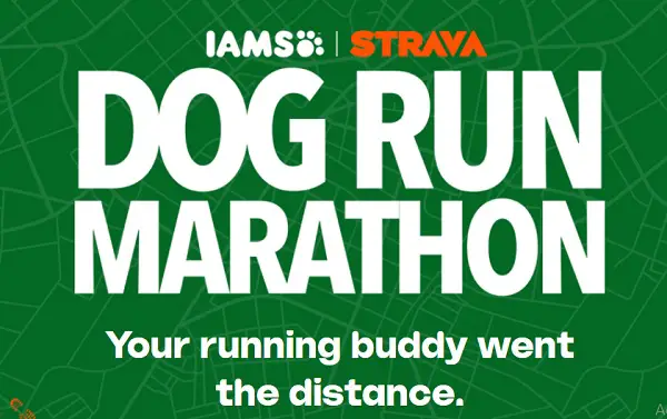 2026 IAMS Strava Dog Run Marathon Sweepstakes: Win $10,000 Cash and Dog Gear [27 Winners]
