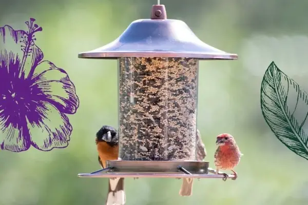 Win Perky-Pet Wild Bird Wednesday Giveaway