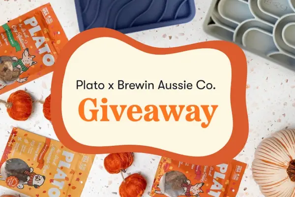 Win Plato Fall Giveaway