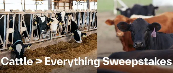 Win The 2026 Boehringer Ingelheim Cattle First Prevention Sweepstakes