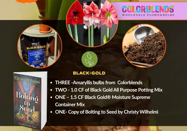 Win The October Black Gold® Giveaway