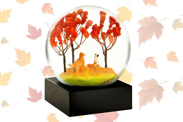Win The October 2026 Snow Globe Giveaway