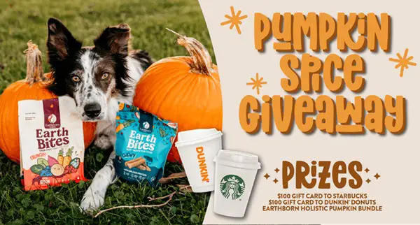 Win Earthborn Holistic Pet Food Pumpkin Spice Giveaway
