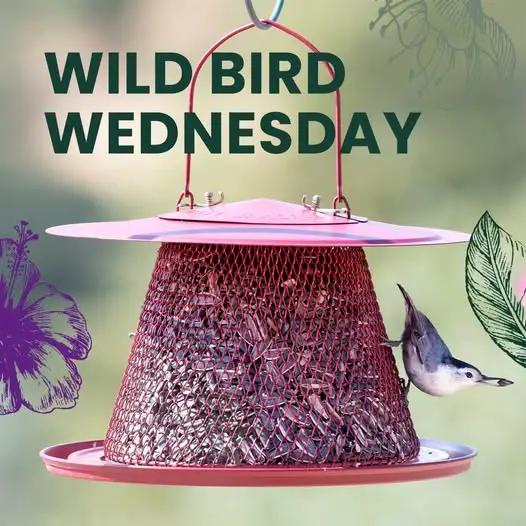 Win Perky-Pet Wild Bird Wednesday Giveaway