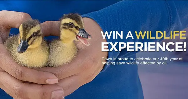 Dawn Wildlife Sweepstakes on dawndishsweeps.com