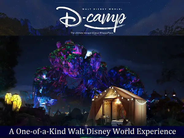 Disney.com D-CAMP at Walt Disney World Resort Contest