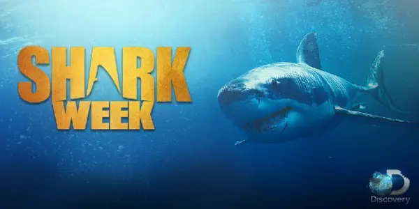 Southwest.com Shark Week Dare To Dive Sweepstakes