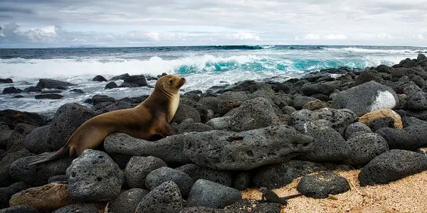 Go Places Galapagos Islands Sweepstakes: Win Trip