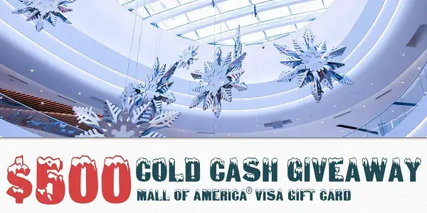 Bloomingtonmn.org Cyber Monday Cold Cash Giveaway