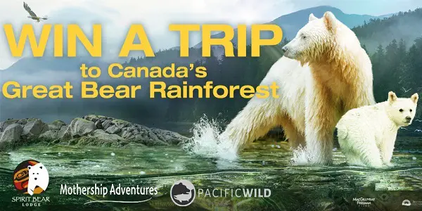 Great Bear Rainforest Sweepstakes: Win Trip