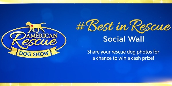 Hallmarkchannel.com Best In Rescue At Home Contest