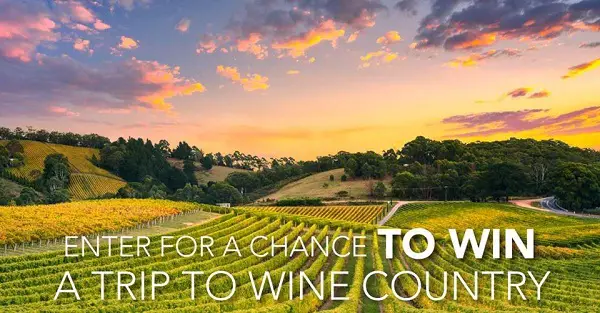 Vivino Wine Getaway Sweepstakes: Win A Trip