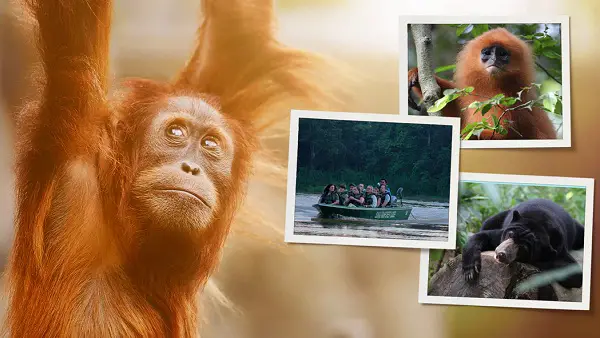 Omaze.com National Geographic Borneo Sweepstakes