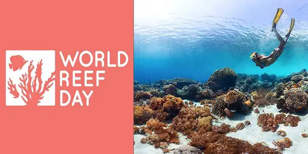 World Reef Day Sweepstakes: Win Trip to Hawaii