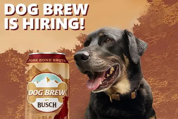 busch light dog collar