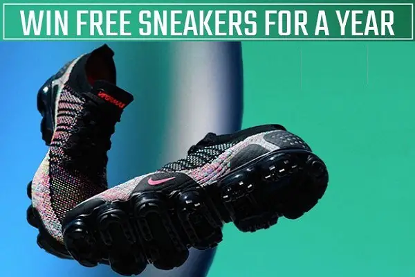 hibbett sports lebron 16